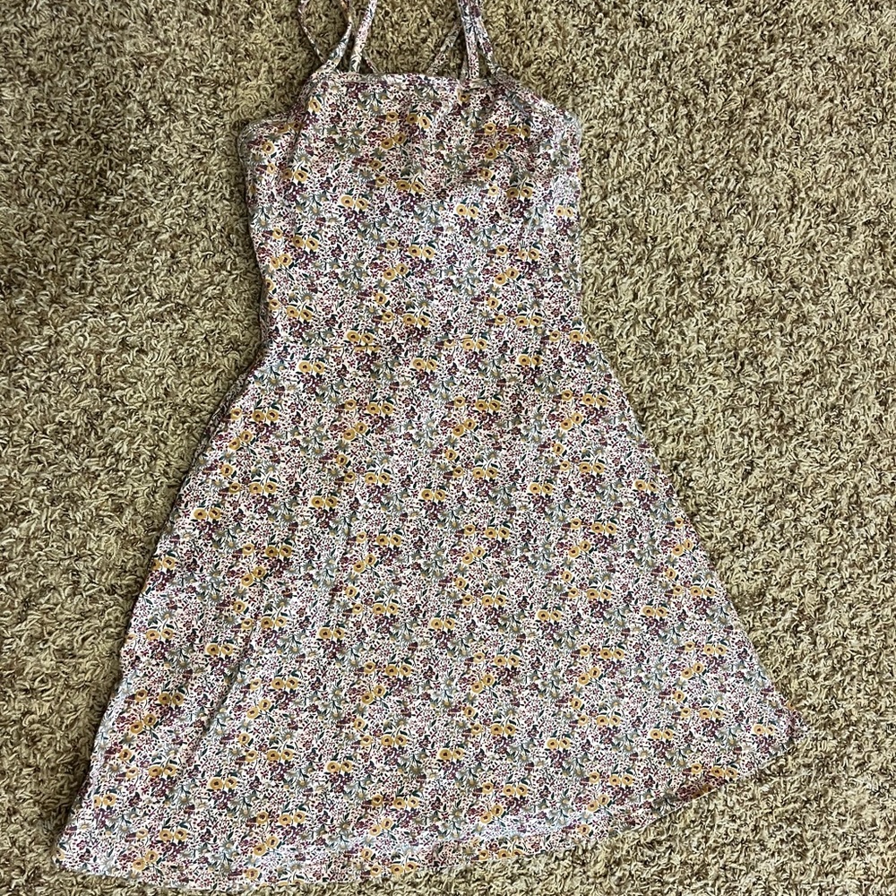 Pact organic cotton dress